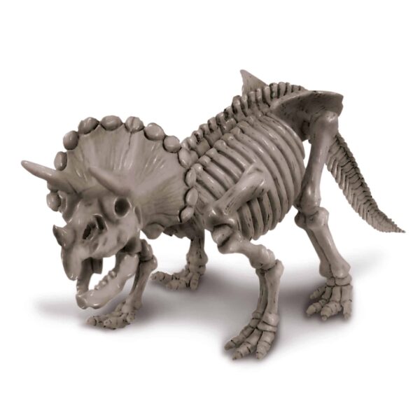 חפירת שלד דינוזאור טריצרטופס Triceratops 4M