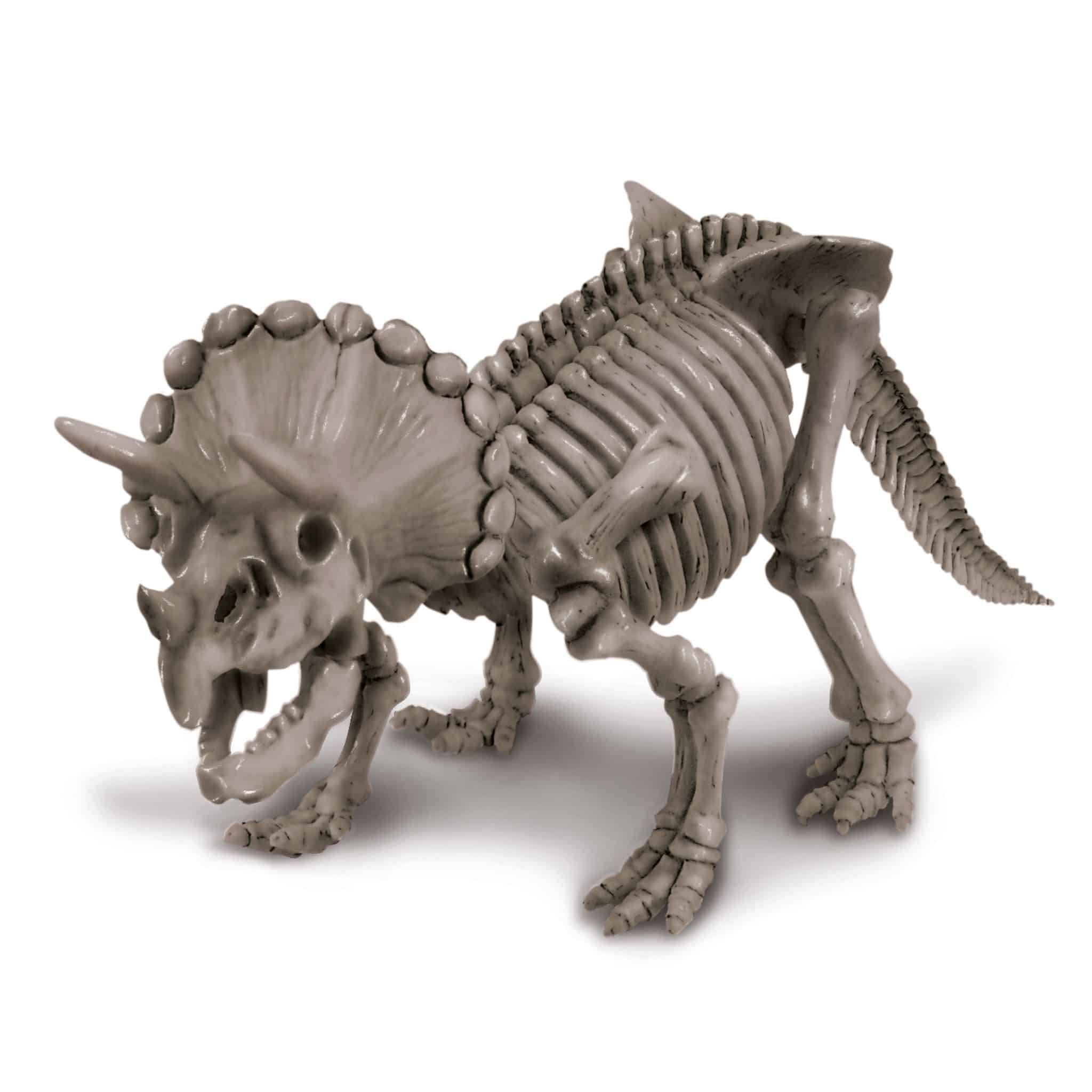 חפירת שלד דינוזאור טריצרטופס Triceratops 4M