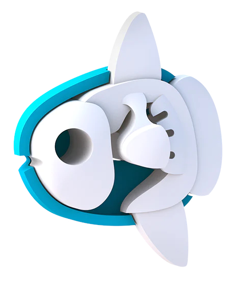 הרכבה דג שמש מגנטי עם שלד Halftoys