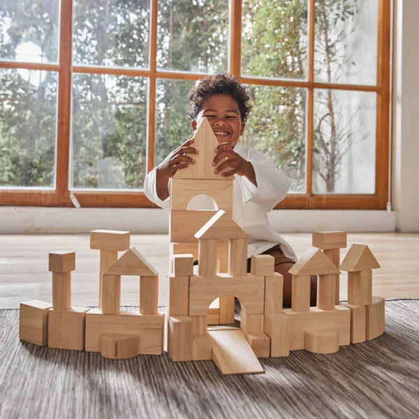 50 קוביות עץ טבעי גדולות Plan Toys
