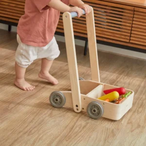 הליכון ציפורים מעץ Plan Toys