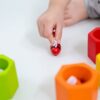 הכוורת Plan Toys