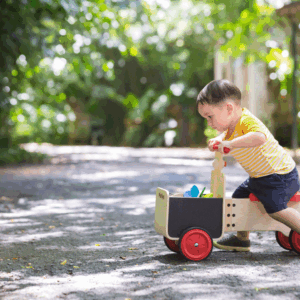 בימבה שליחויות Plan Toys