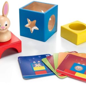 באני בו SmartGames