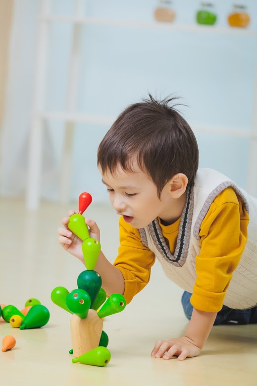 משחק מאזנים את הקקטוס Plan Toys