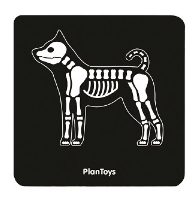 סט משחק רופא ערכת ווטרינרים Plan Toys