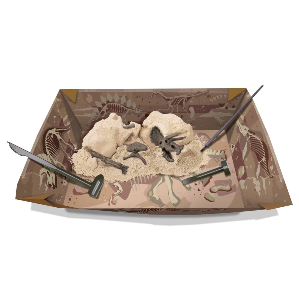 חפירת שלד דינוזאור טריצרטופס Triceratops 4M