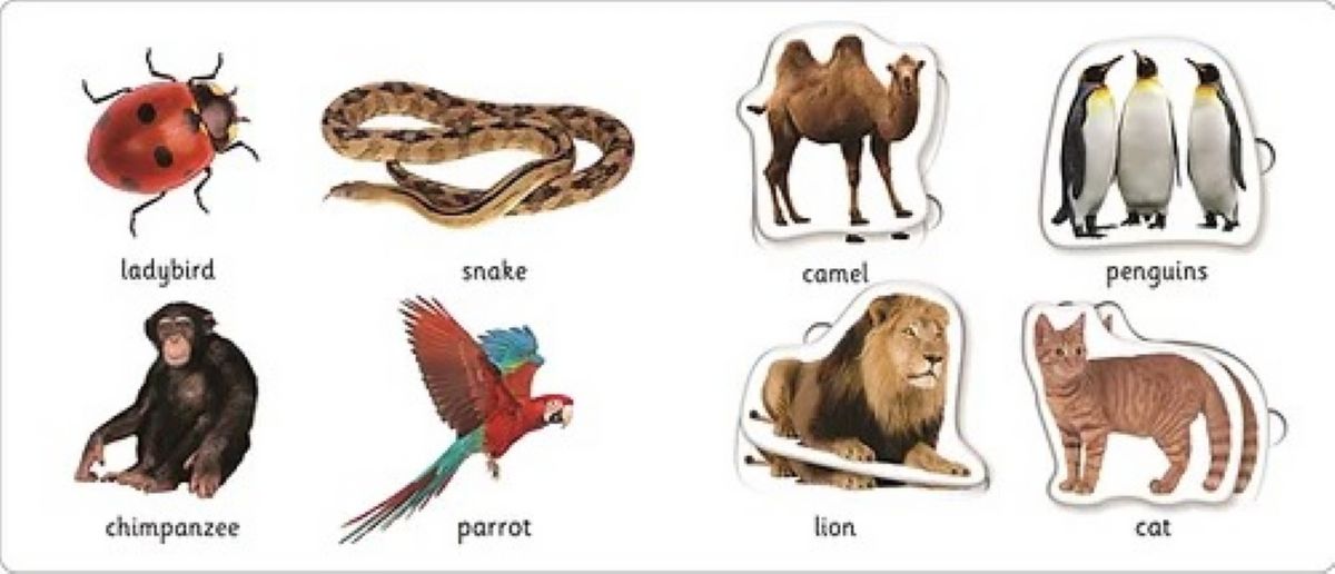 ספר פאזל שקעים חיות Priddy Books