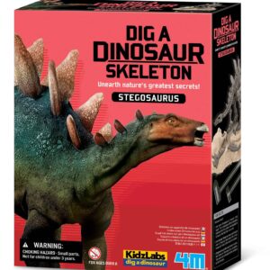 חפירת שלד דינוזאור סטגוזאורוס Stegosaurus 4M