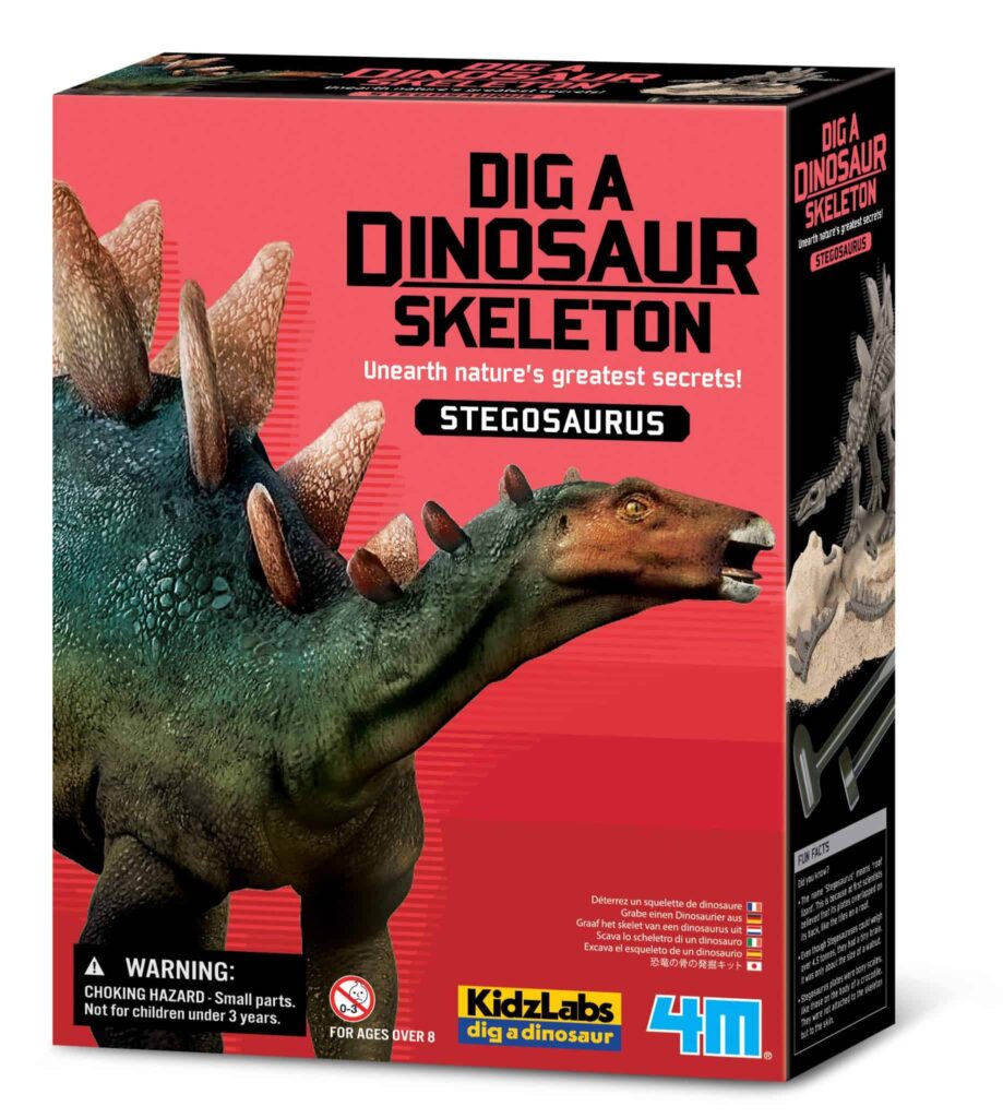 חפירת שלד דינוזאור סטגוזאורוס Stegosaurus 4M