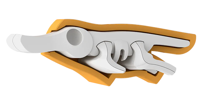 הרכבה ברווזון מגנטי עם שלד וסביבת מחיה 3D Halftoys