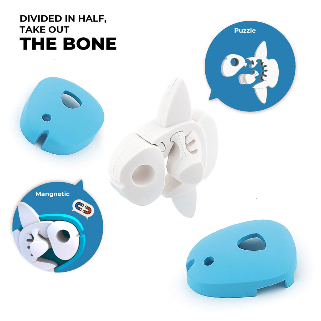 הרכבה דג שמש מגנטי עם שלד Halftoys