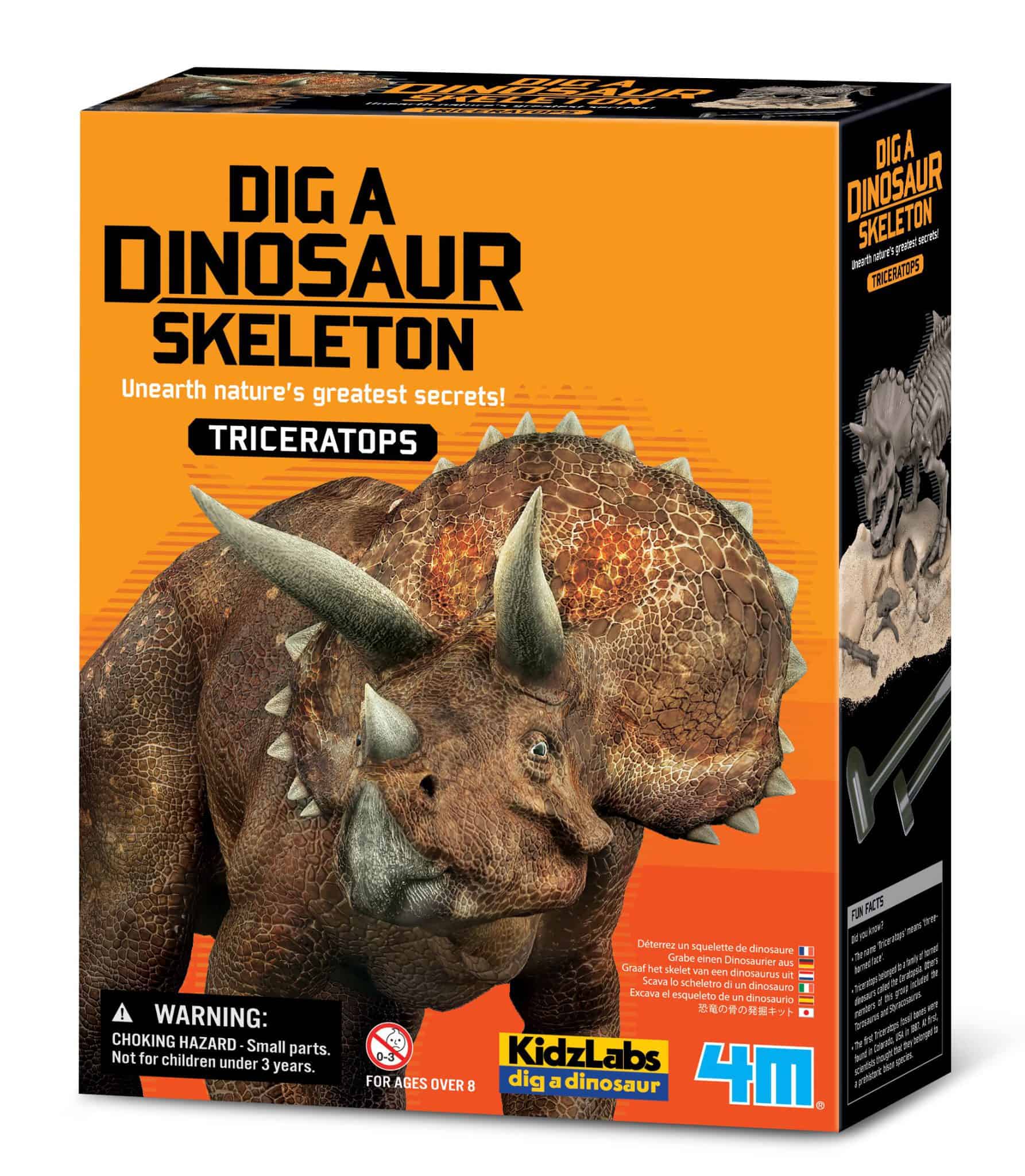 חפירת שלד דינוזאור טריצרטופס Triceratops 4M