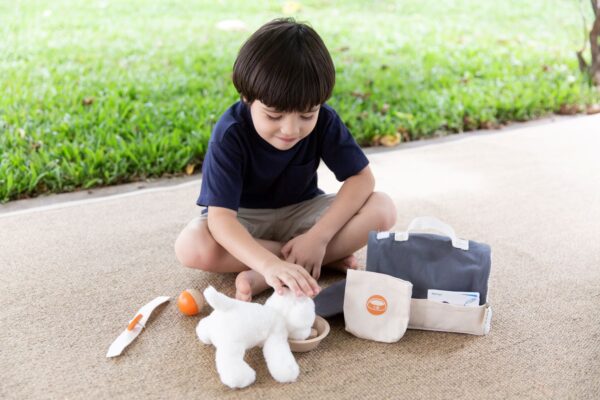 סט משחק ערכת טיפול בחיות Plan Toys