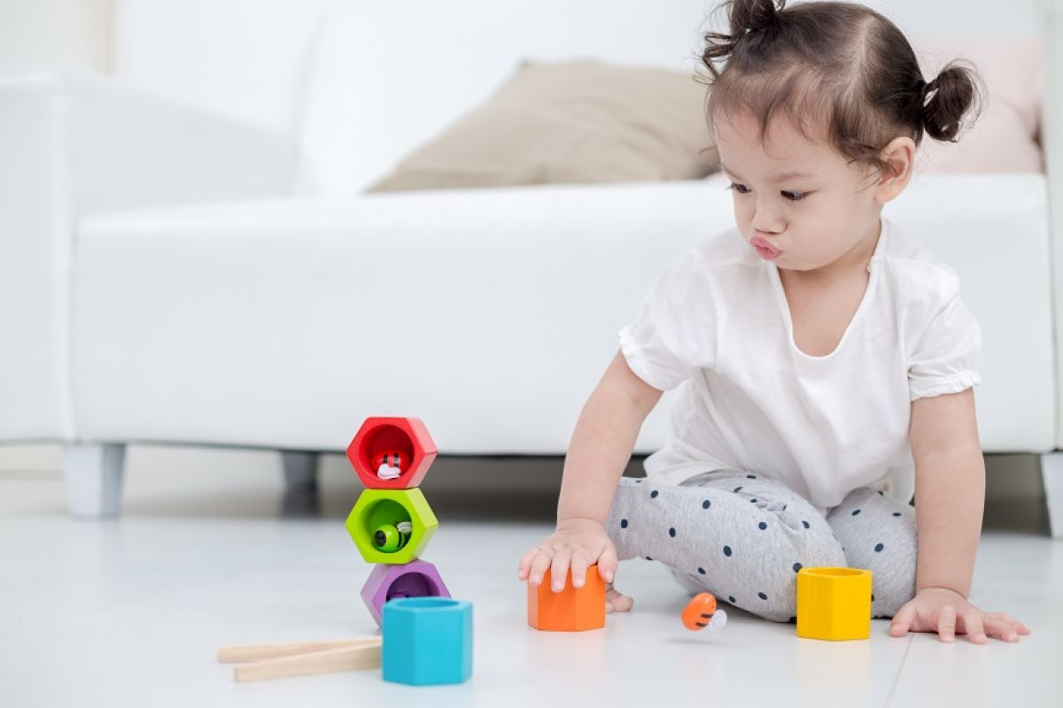 הכוורת Plan Toys