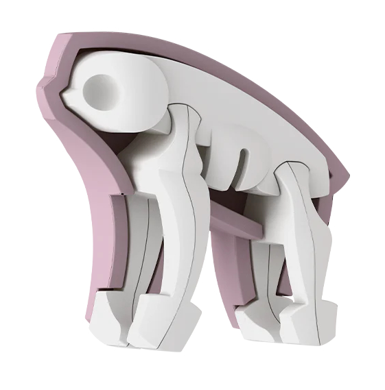הרכבה עצלן מגנטי עם שלד וסביבת מחיה 3D Halftoys