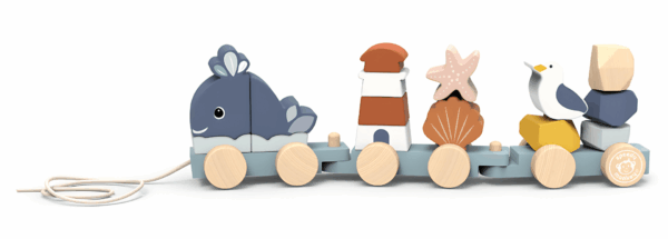 רכבת השחלות מעץ 'אוקיינוס' Speedy Monkey