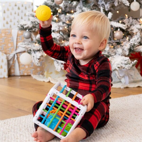 קוביית התנגדות איני בין - Fat Brain Fat Brain Toys