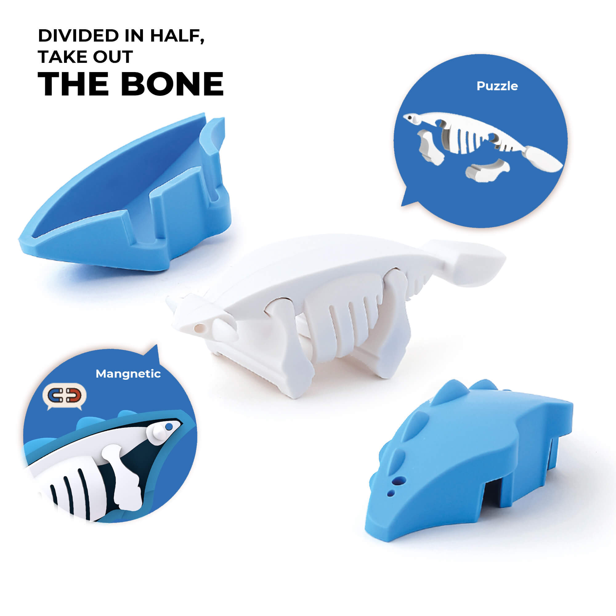 הרכבה דינוזאור אנקילוזאורוס מגנטי עם שלד Halftoys