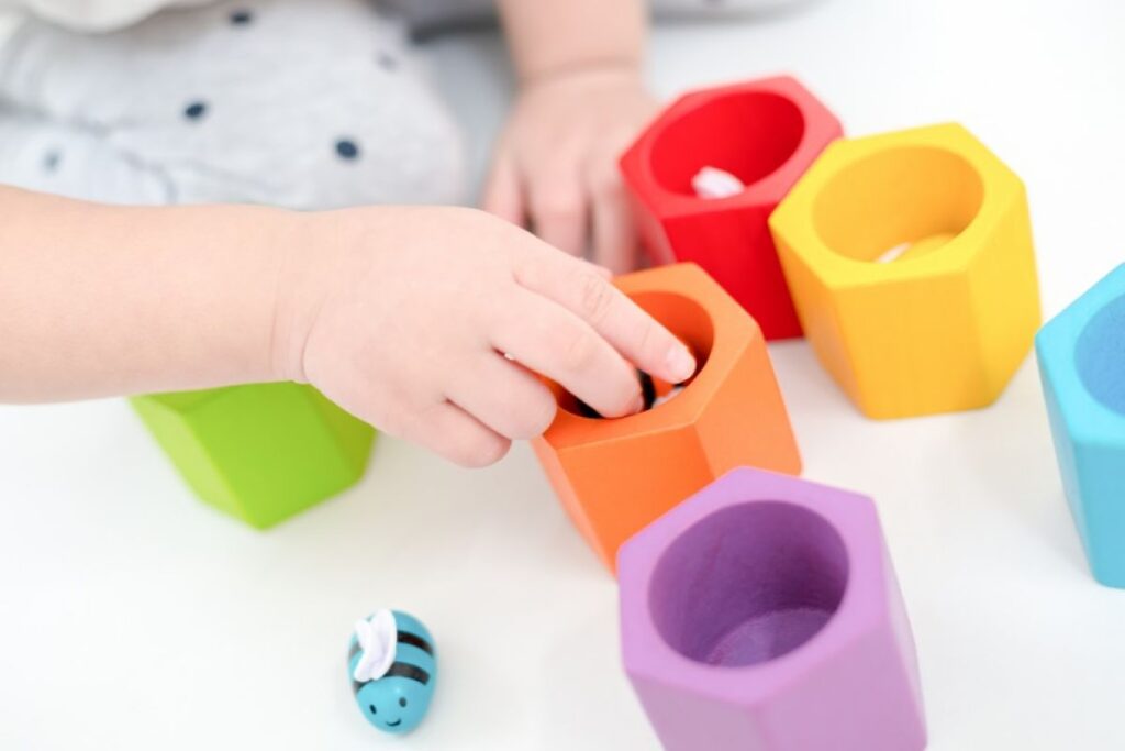 הכוורת Plan Toys