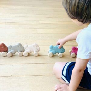 דחוף את הארנב כחול - PlanToys Plan Toys