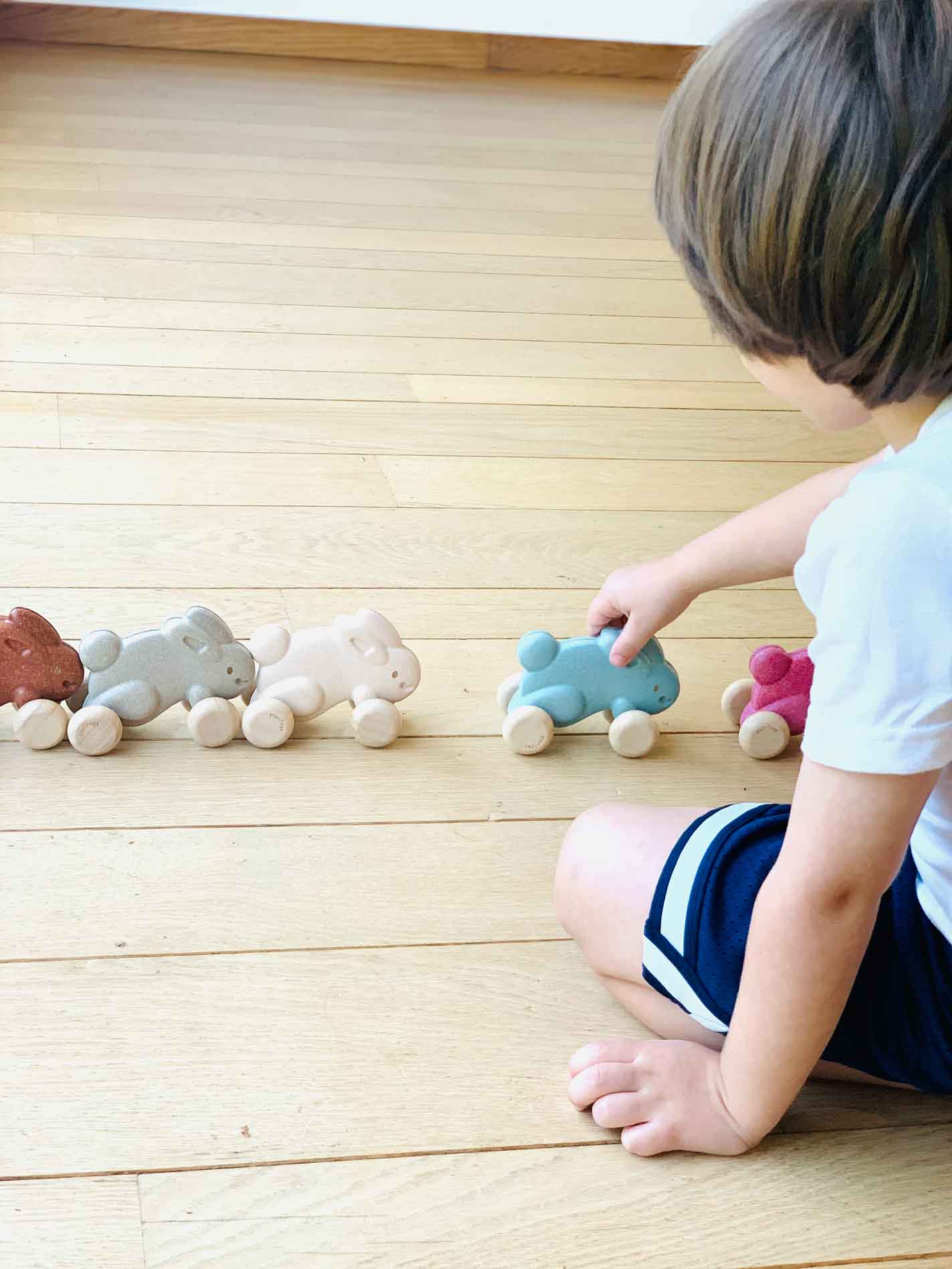 דחוף את הארנב צבע עץ טבעי - PlanToys Plan Toys