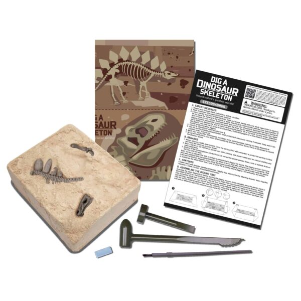 חפירת שלד דינוזאור סטגוזאורוס Stegosaurus 4M