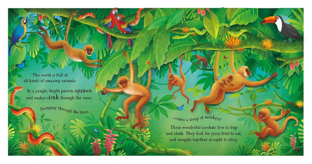 ספר תלת מימד פופ אפ חיות Usborne