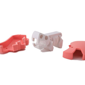 הרכבה היפופוטם מגנטי עם שלד וסביבת מחיה 3D Halftoys