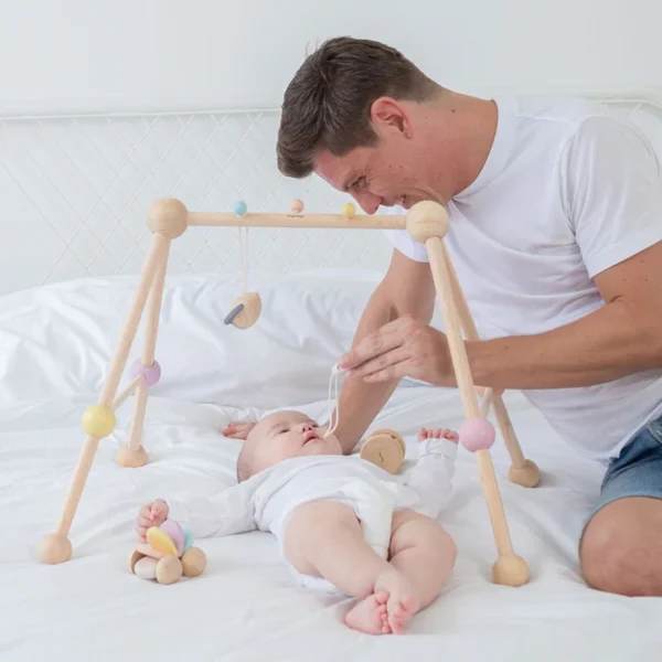 אוניברסיטה מעץ צבעי פסטל ורוד Plan Toys