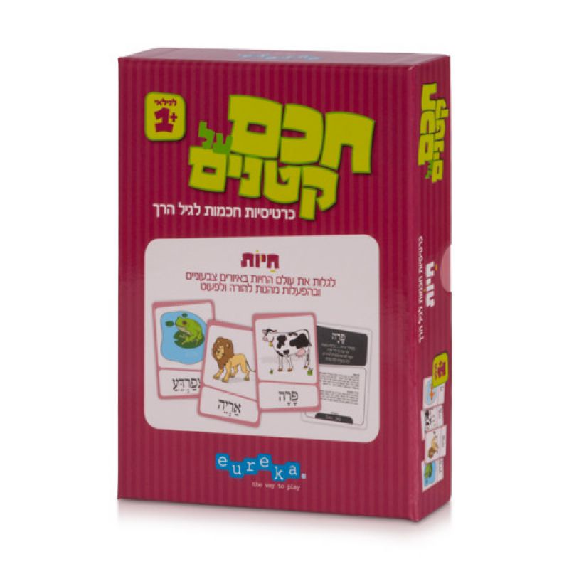 מארז התפתחות באמצעות משחק 12-18 חודשים