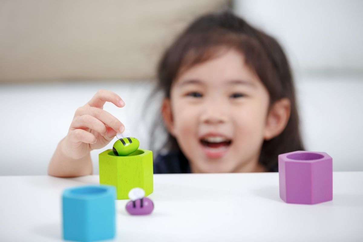 הכוורת Plan Toys