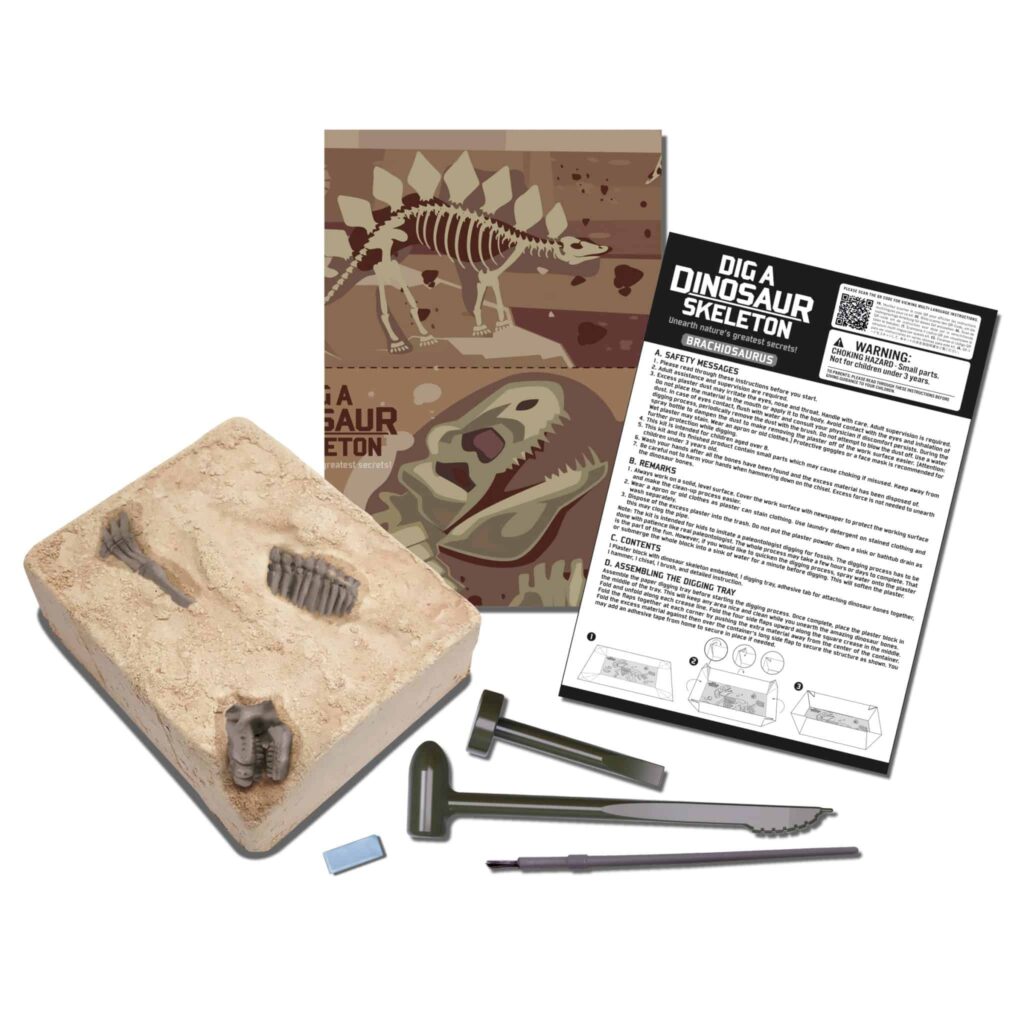 חפירת שלד דינוזאור ברכיוזאורוס Brachiosaurus 4M