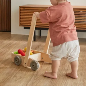 הליכון ציפורים מעץ Plan Toys