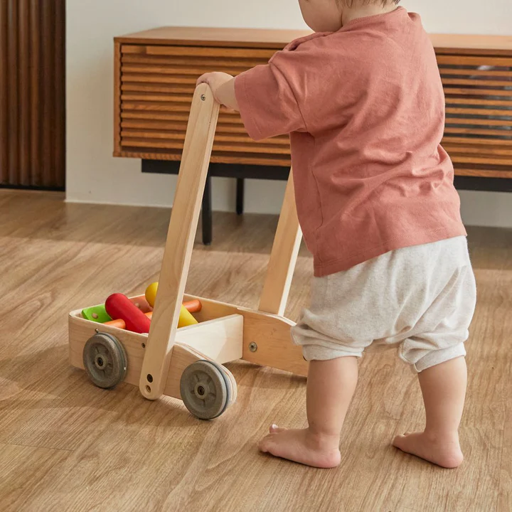 הליכון ציפורים מעץ Plan Toys
