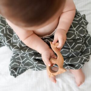 טטרה במבוק גאו זית Poshbaby by Momeasy