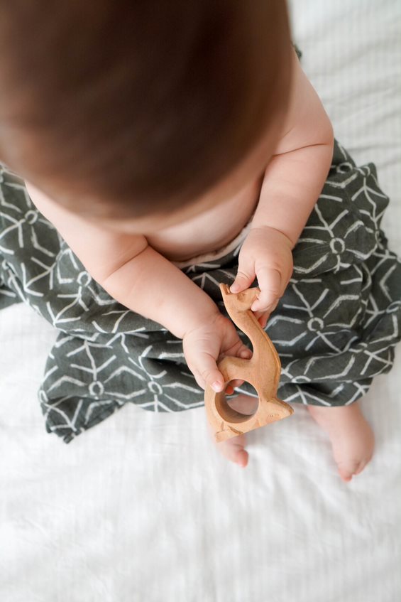 טטרה במבוק גאו זית Poshbaby by Momeasy