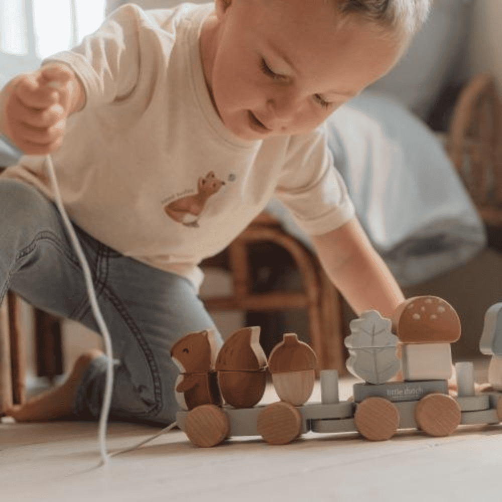 רכבת השחלות מעץ 'חברים ביער' Little Dutch