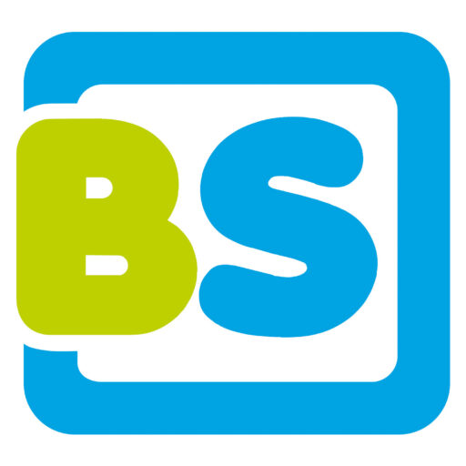 BS Toys