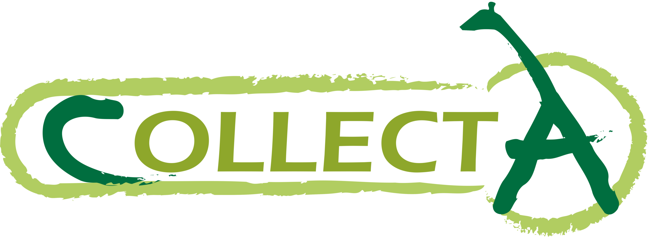 Collecta