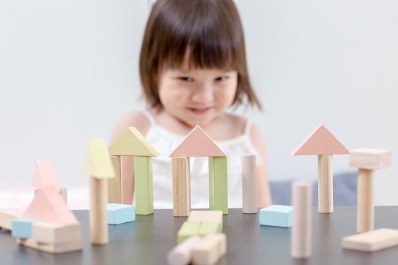 40 קוביות עץ פסטל Plan Toys