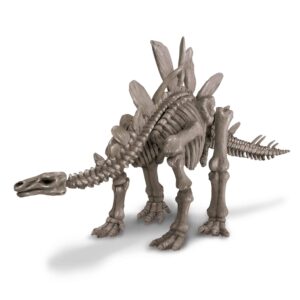 חפירת שלד דינוזאור סטגוזאורוס Stegosaurus 4M