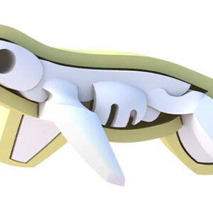 הרכבה צב ים ירוק מגנטי עם שלד Halftoys