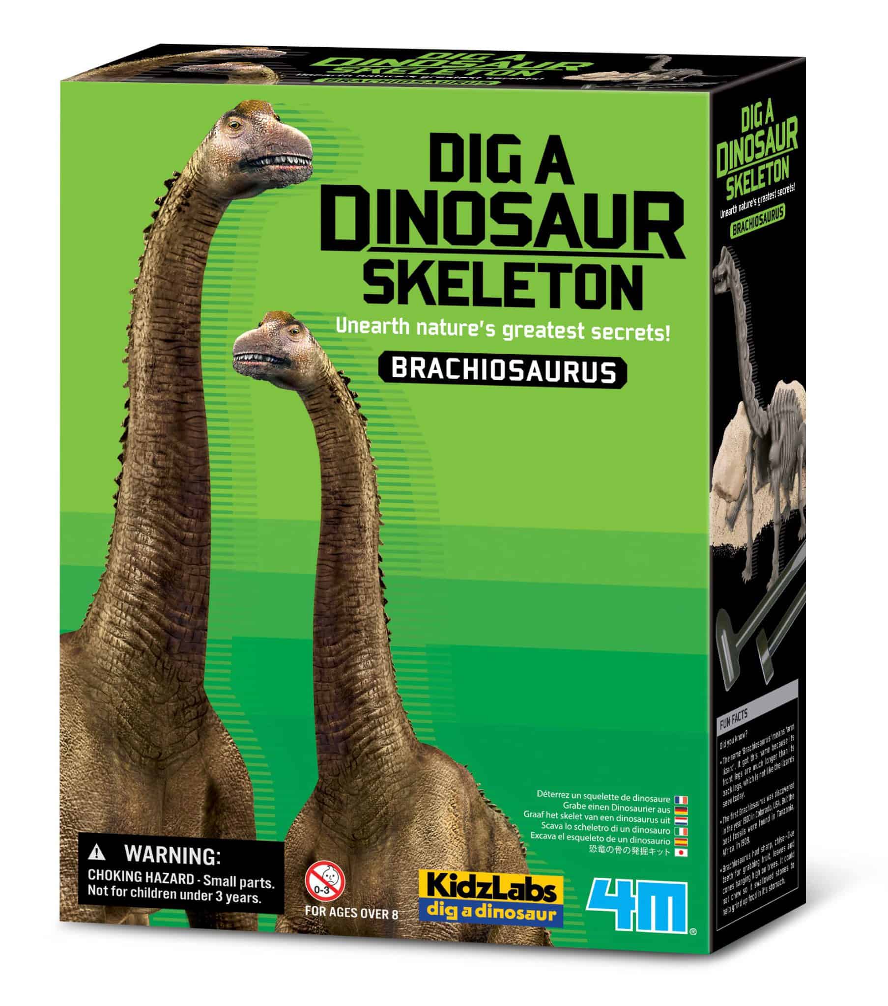 חפירת שלד דינוזאור ברכיוזאורוס Brachiosaurus 4M
