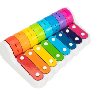 רוק אנד רולר קסילופון - Fat Brain Fat Brain Toys