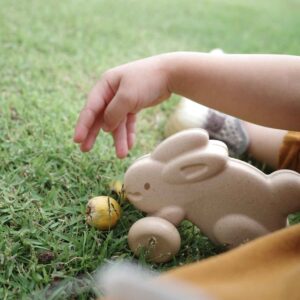 דחוף את הארנב אפור - PlanToys Plan Toys