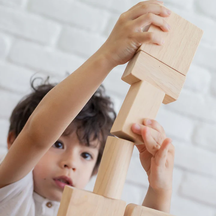 50 קוביות עץ טבעי גדולות Plan Toys