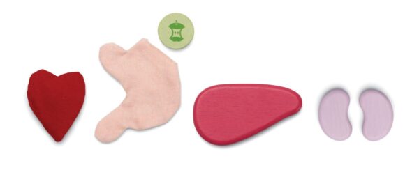 סט מנתחים Plan Toys