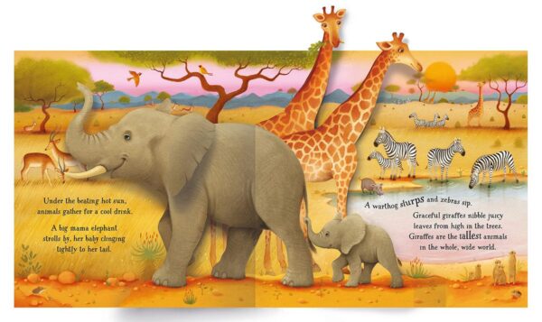 ספר תלת מימד פופ אפ חיות Usborne