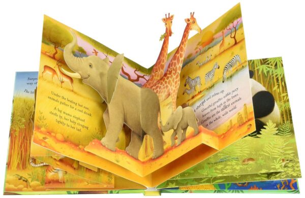 ספר תלת מימד פופ אפ חיות Usborne